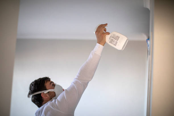 Best Kitchen Mold Remediation in Mifflinburg, PA